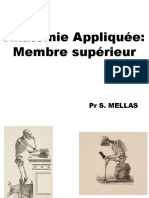 Membre Supérieur - PR Mellas