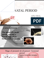 E. Activity 3 - Group 6 Pre-Natal Period