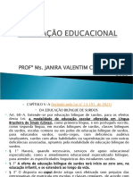 Conhecimentopedagogicoldb04 e 05 e Pne-1