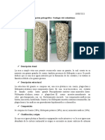 Analisis Petrografico Granito