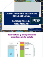 Biol 024 Clase 4 y 5 2022