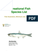 Dept of Fisheries Species List