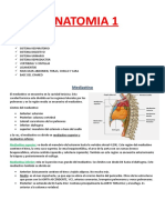 Anatomia I