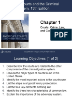 Americas Courts and The Criminal Justice System-Ch1