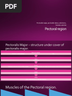 Muscles of Pectoral Region