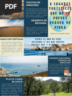 Azul Marino y Beige Viajes A La Naturaleza Tríptico Folleto