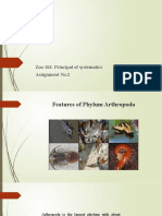 Features of Phylum Arthropoda