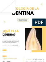 Histologia Dentina