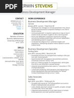 Business Development Manager Resume Example