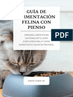 Guía de Alimentación Felina Con Pienso