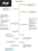 Lesiones Graves Mapa