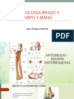 6 Osteologiabrazocarpoymano