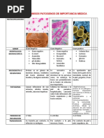 Tabla de Microorganismos