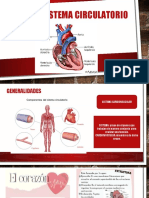 Sistema Circulatorio