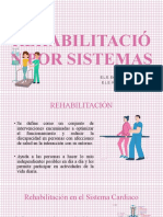 Rehabilitación Por Sistemas