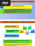 Competencias Funcuinales y Comportamentales