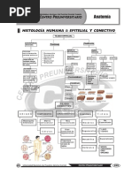 10 - Anatomía 2023-II