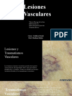 Lesiones Vasculares