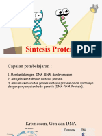 Sintesis Protein