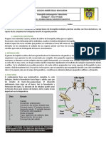 Laboratorio Moscas