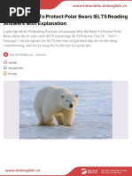 Why We Need To Protect Polar Bears