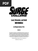 The Surge Challenge Principles