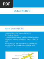 Ulna Nerve