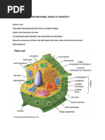 Acp1 Act