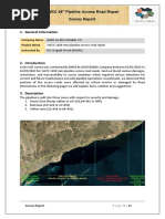 Survey Report For SWCC Pipeline Access Road