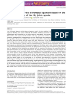 New Insight Into The Iliofemoral Ligament Based On The Anatomical Study of The Hip Joint Capsule