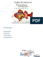 SEMANA 6 Fisiología - Respiración 1