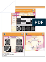 CAT2 - Bioimágenes - Neuroanatomía @anatoximagenescat2