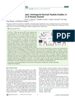 Biomimetic Tooth Repair, Amelogenin-Derived Peptide Enables in Vitro Remineralization of Human Enamel