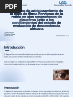 Patrones de Adelgazamiento de La Capa de Fibras Nerviosas de La Retina en Ojos Sospechosos de Glaucoma Junto A Los Conocimientos Del Estudio de Evaluación de Descendencia Africana