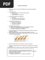 Trabajo de Intensificación