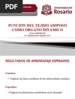 Función Del Tejido Adiposo Como Un Órgano Dinámico II - 2020