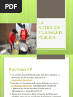 Panorama de La Seguridad Alimentaria y Nutricional