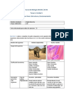 Anexo - Ejemplo Tarea 2 Seres Vivos