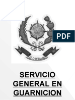 Ploteo Servicio en Guarnicion