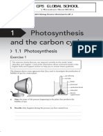 CAIE 8 Biology - MT 1 - Revision Worksheet