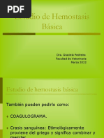 5 - Hemostasia Clase Basico 2022