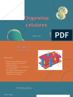 Organelos Celulares