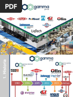 Gamma Group Limpieza Quimica