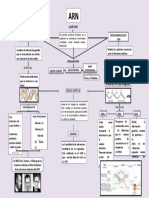 Mapa Conceptual Del ARN 3