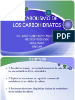 Metabolismo de Carbohidratos Ii Per 2023