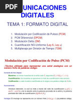 Tema 1 Formato Digital 20P