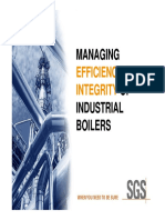 Boiler Integrity & Efiiciency