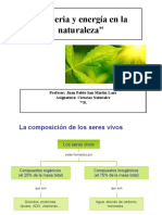 P-Fotosíntesis y Respiración