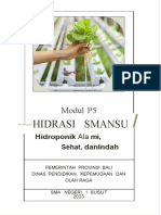 Modul Projek Hidrasi