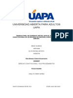 Trabajo Final Constitucional 2023-1